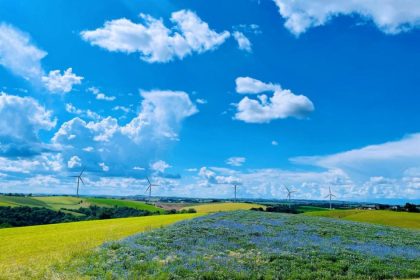 China, France set exemplary model of win-win cooperation in energy sector