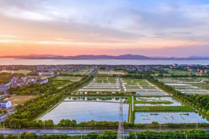 Eco-friendly crab farm in E China sets example of efficient, high-quality aquaculture