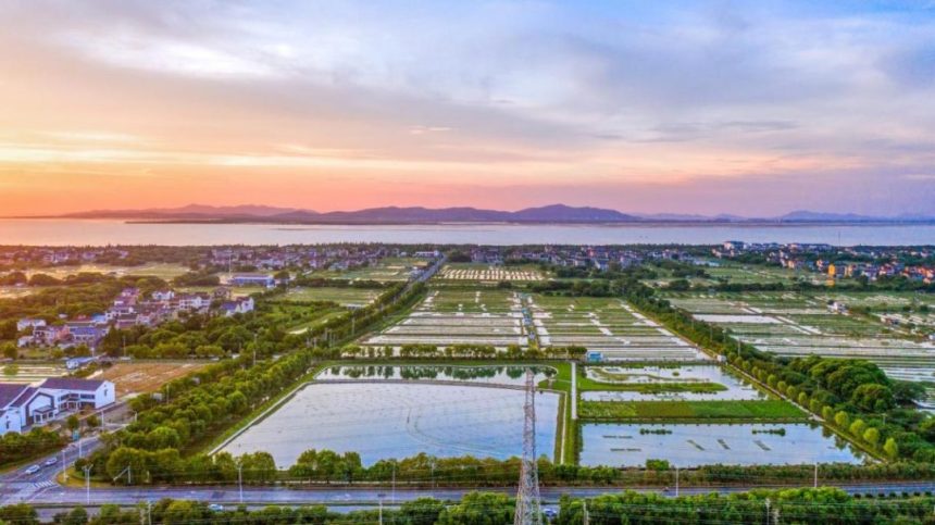 Eco-friendly crab farm in E China sets example of efficient, high-quality aquaculture